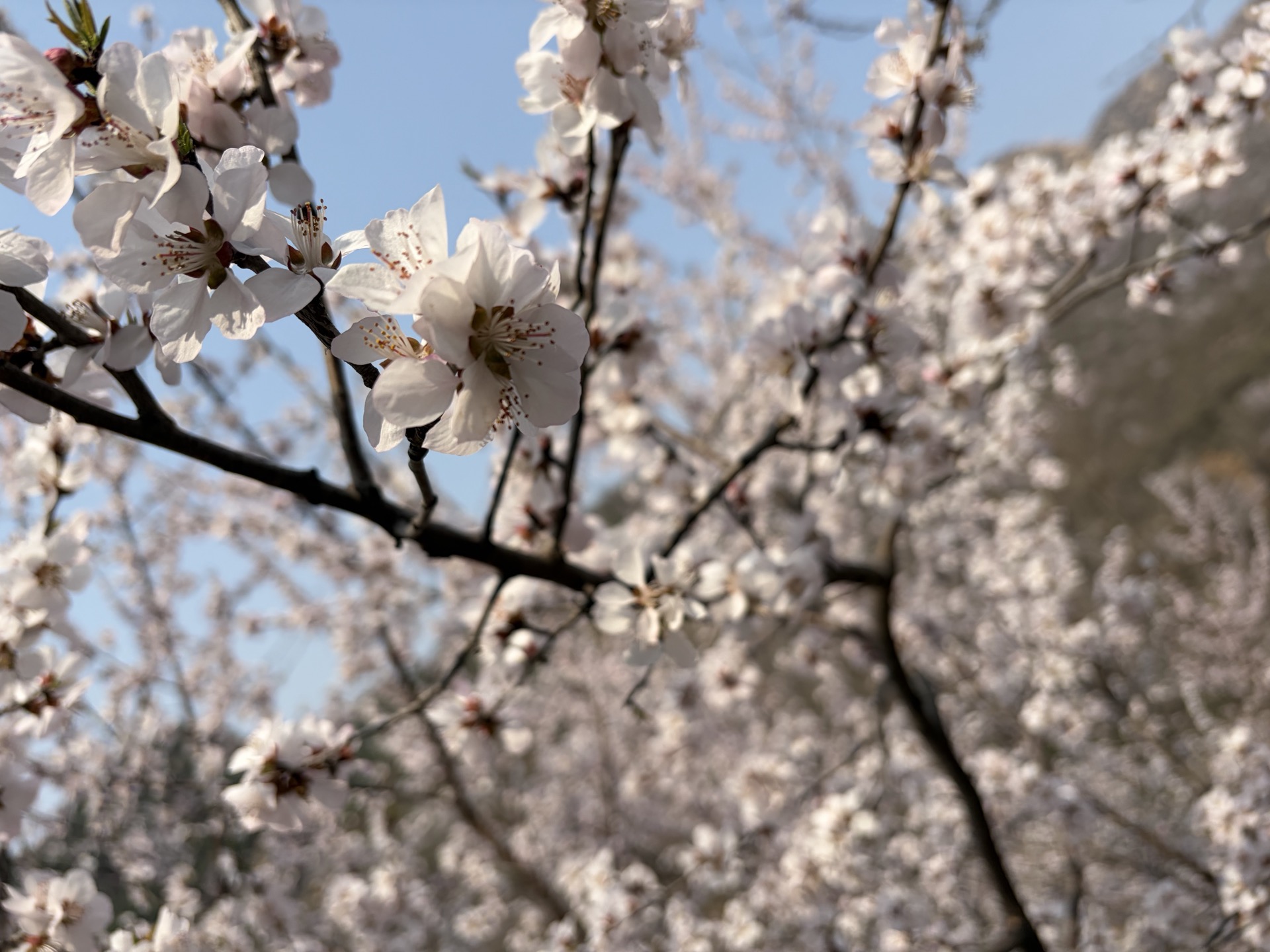 Banner image of the blog
